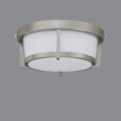 Ceiling Mount Lighting